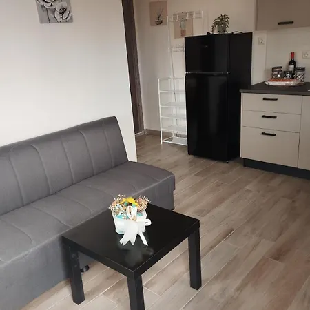 Aloe Syros Appartement *
