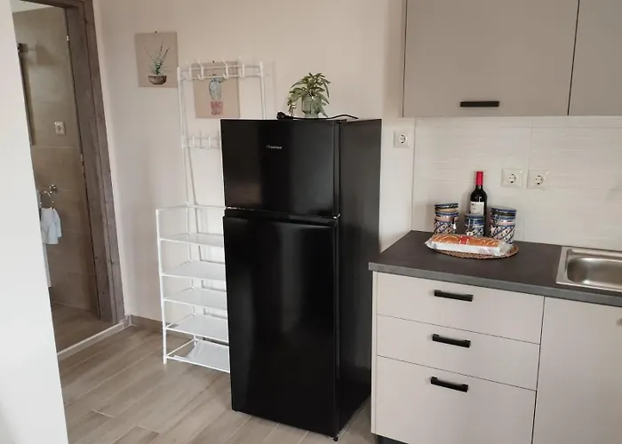 Apartment Aloe Syros *